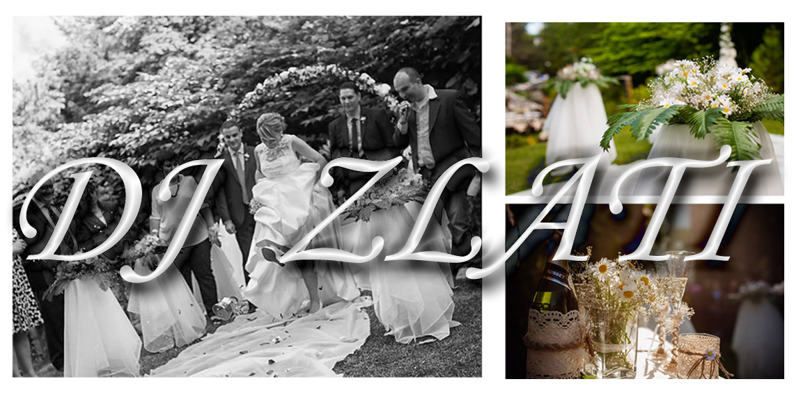 Сватбен дисководещ DJ Злати Петров - DJ za svatba