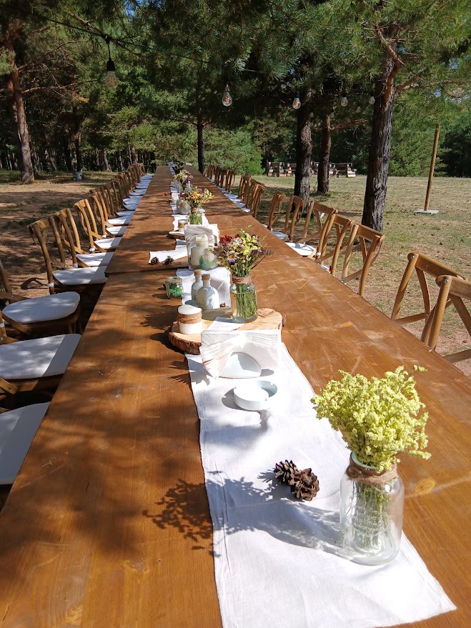 Галерия снимка 34