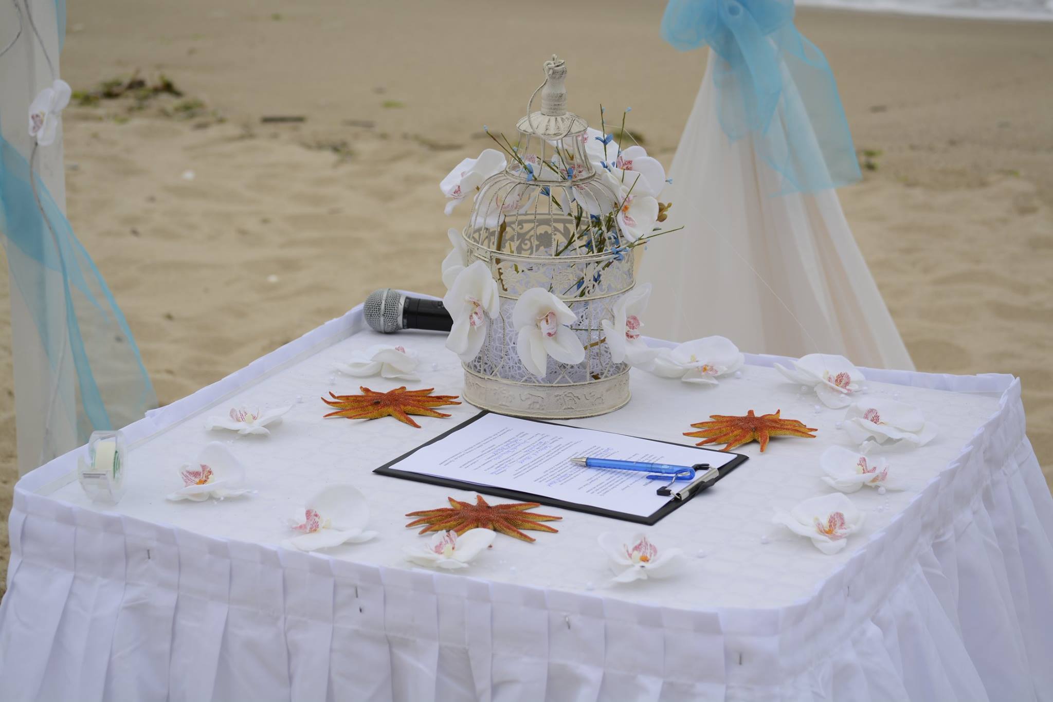 Галерия снимка 70