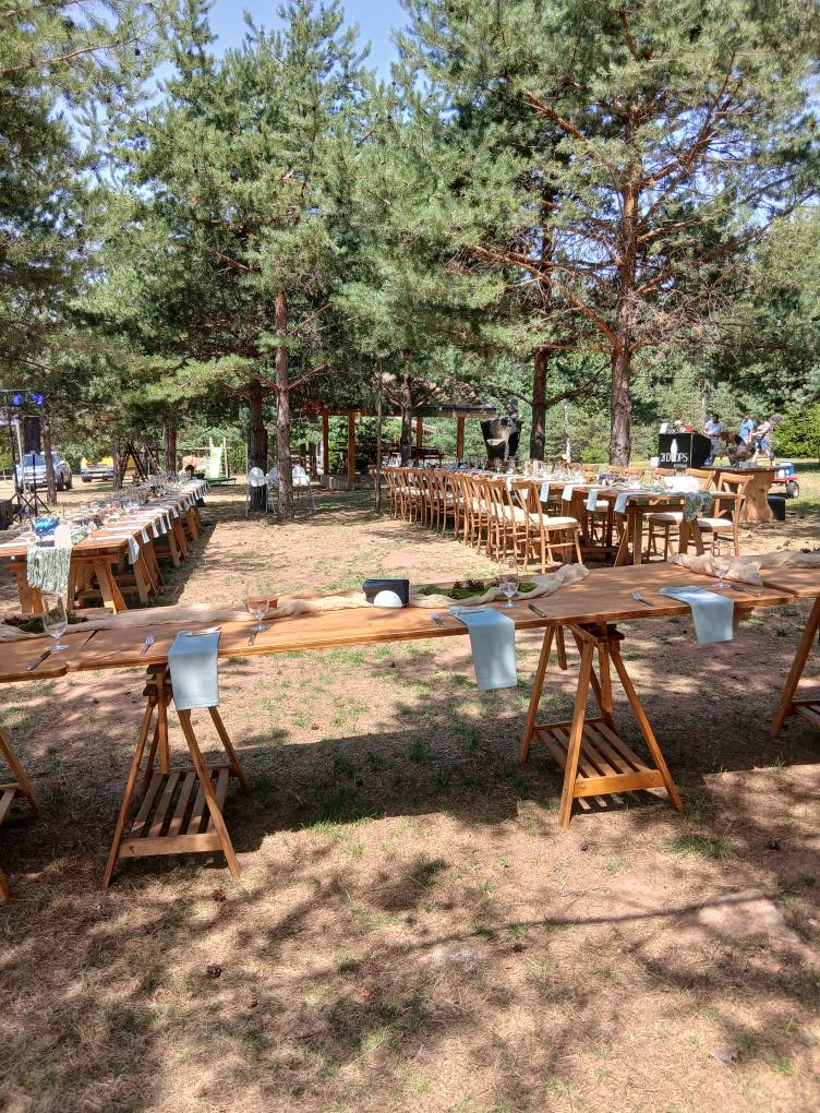 Галерия снимка 85